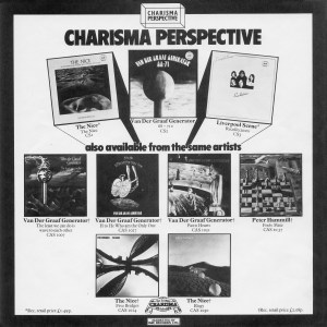 Perspective flyer