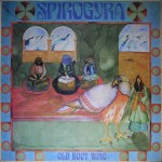 Spirogyra PEG13A front