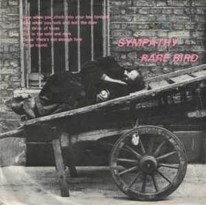 cb-179-rare-bird-front