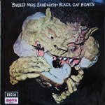 SDN-15-Black-Cat-Bones-front